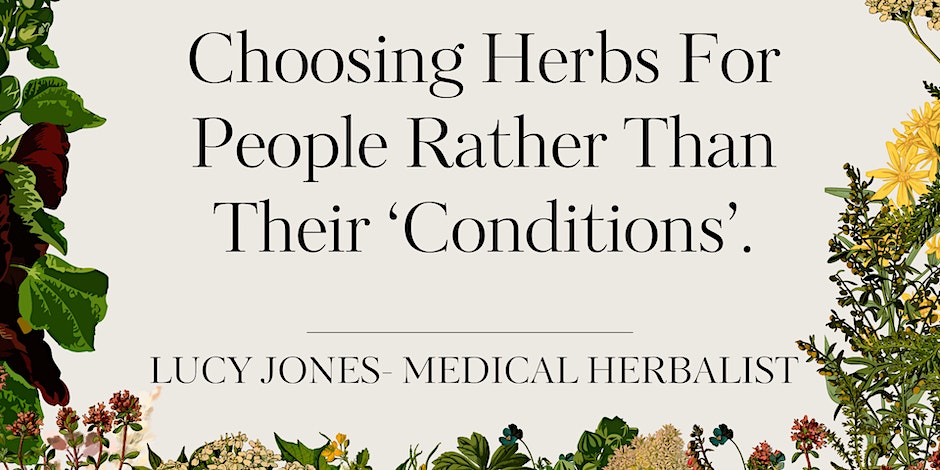 Choosing Herbs For People Rather Than Their ‘Conditions’ with Lucy Jones